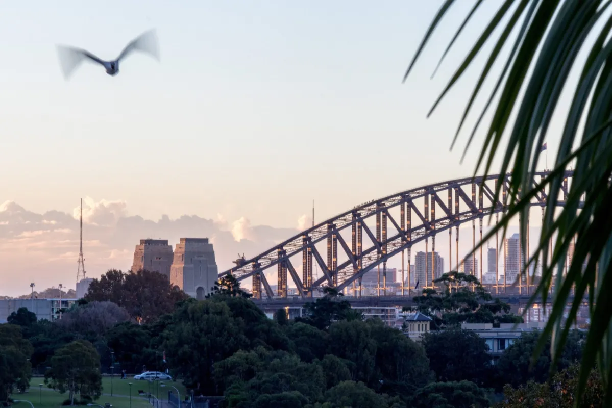 Sydney Harbour Bridge in evening